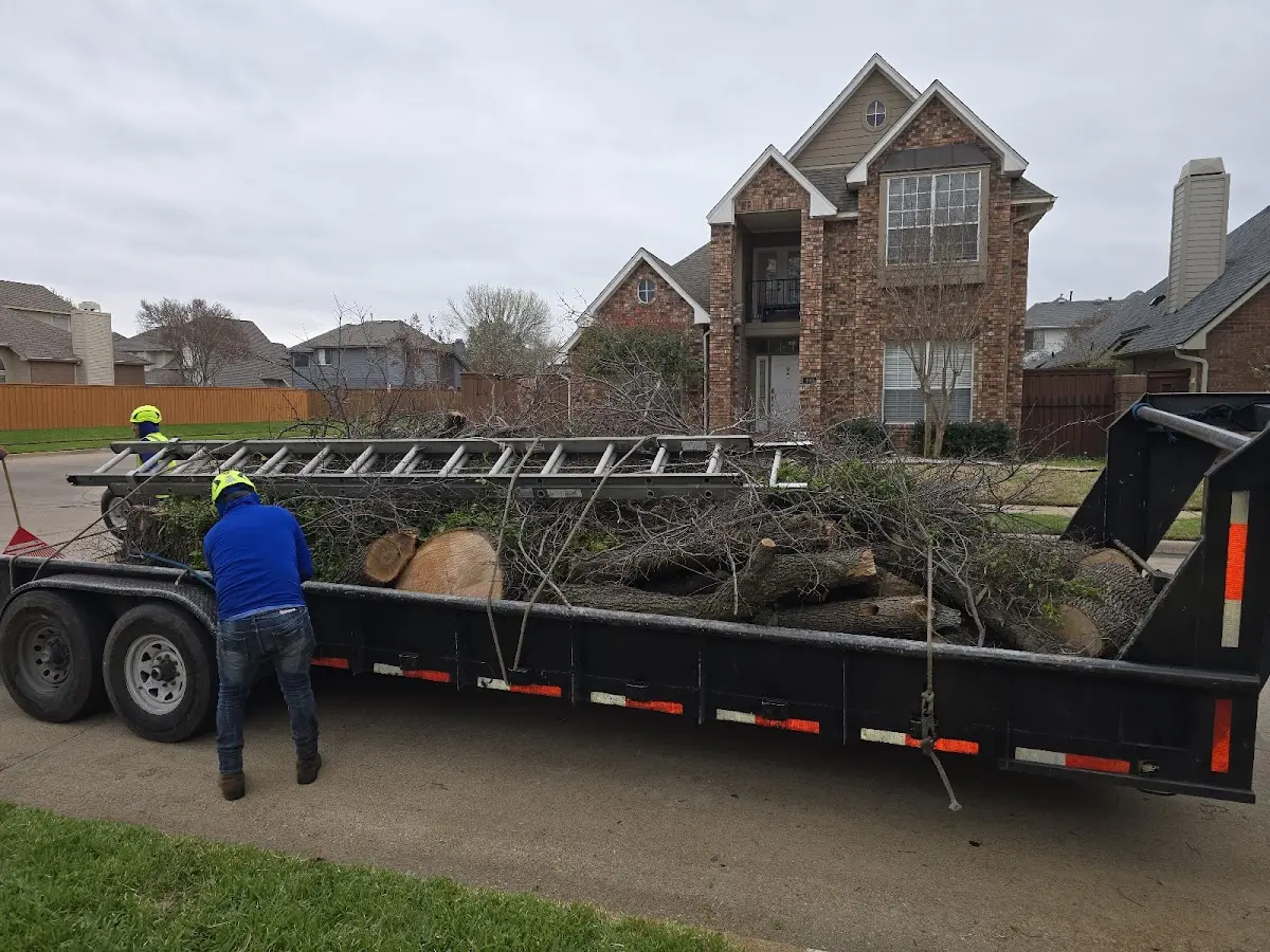 Expert Tree Pest Control with proper safety equipment in Columbia
